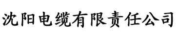 适合情侣看的东西电缆厂logo